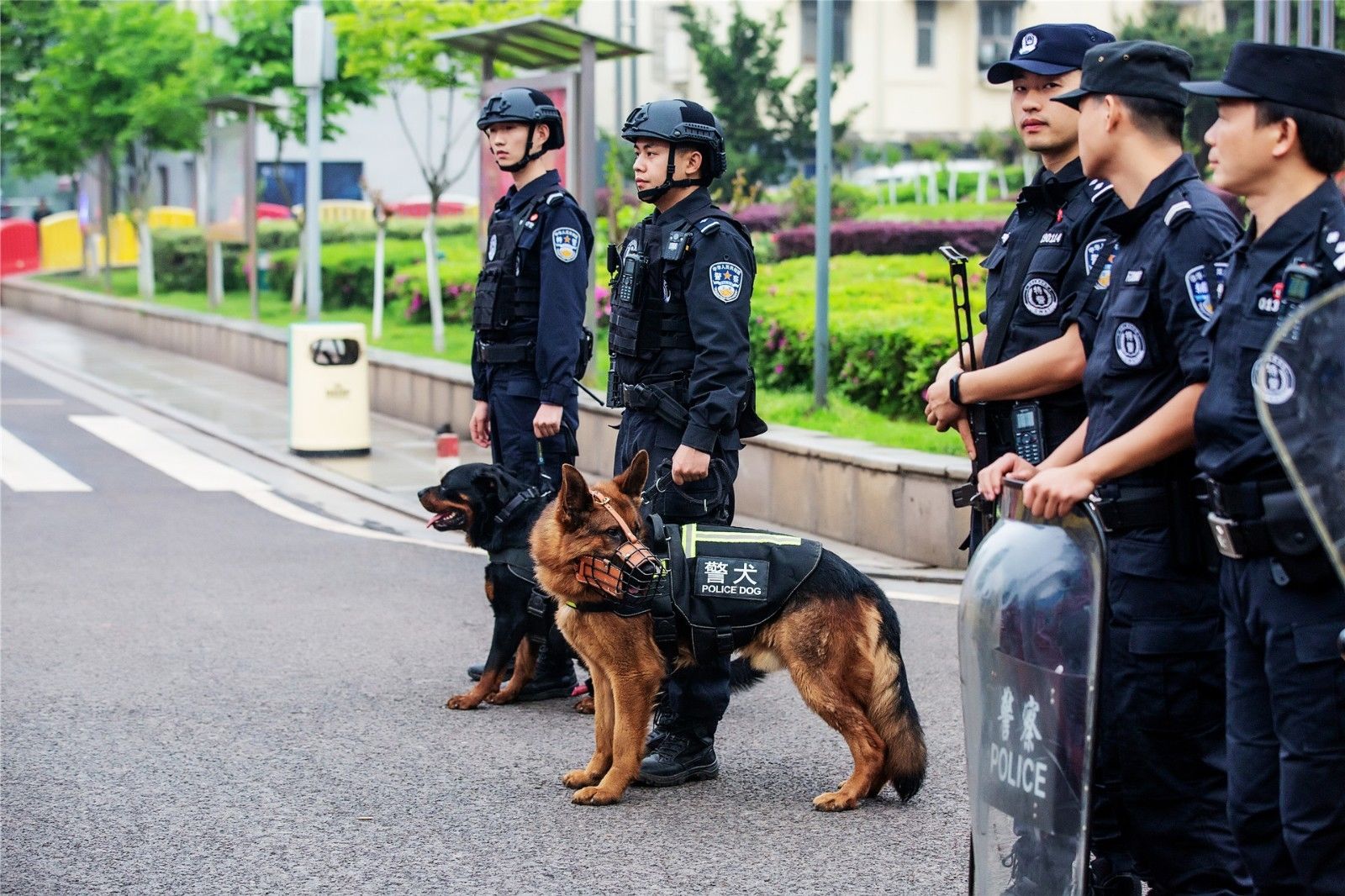 湖南DB电竞官网管理有限公司