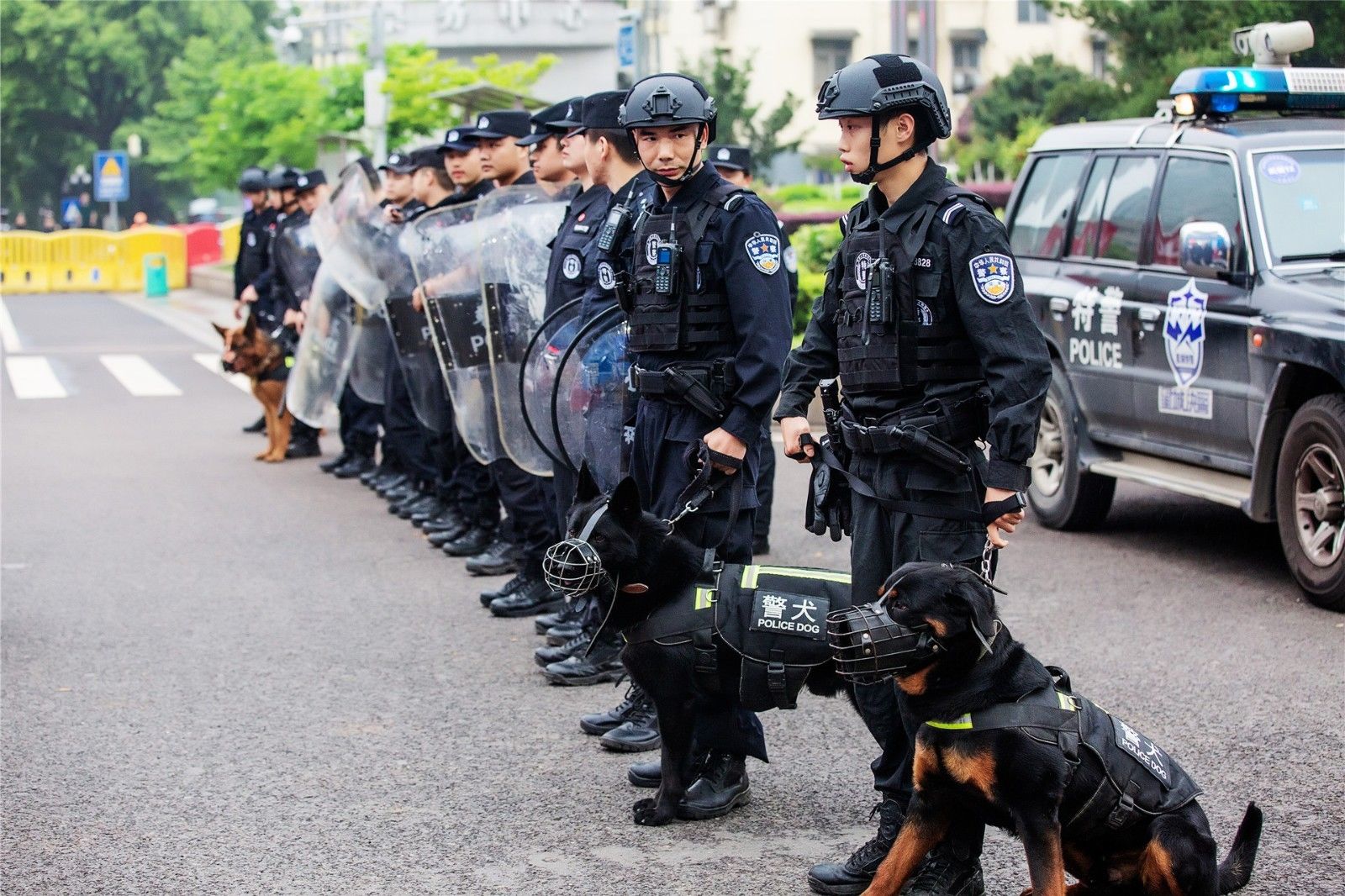 湖南DB电竞官网管理有限公司